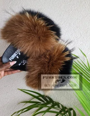 COCO FOXY