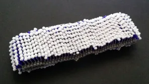 Fins Bracelet