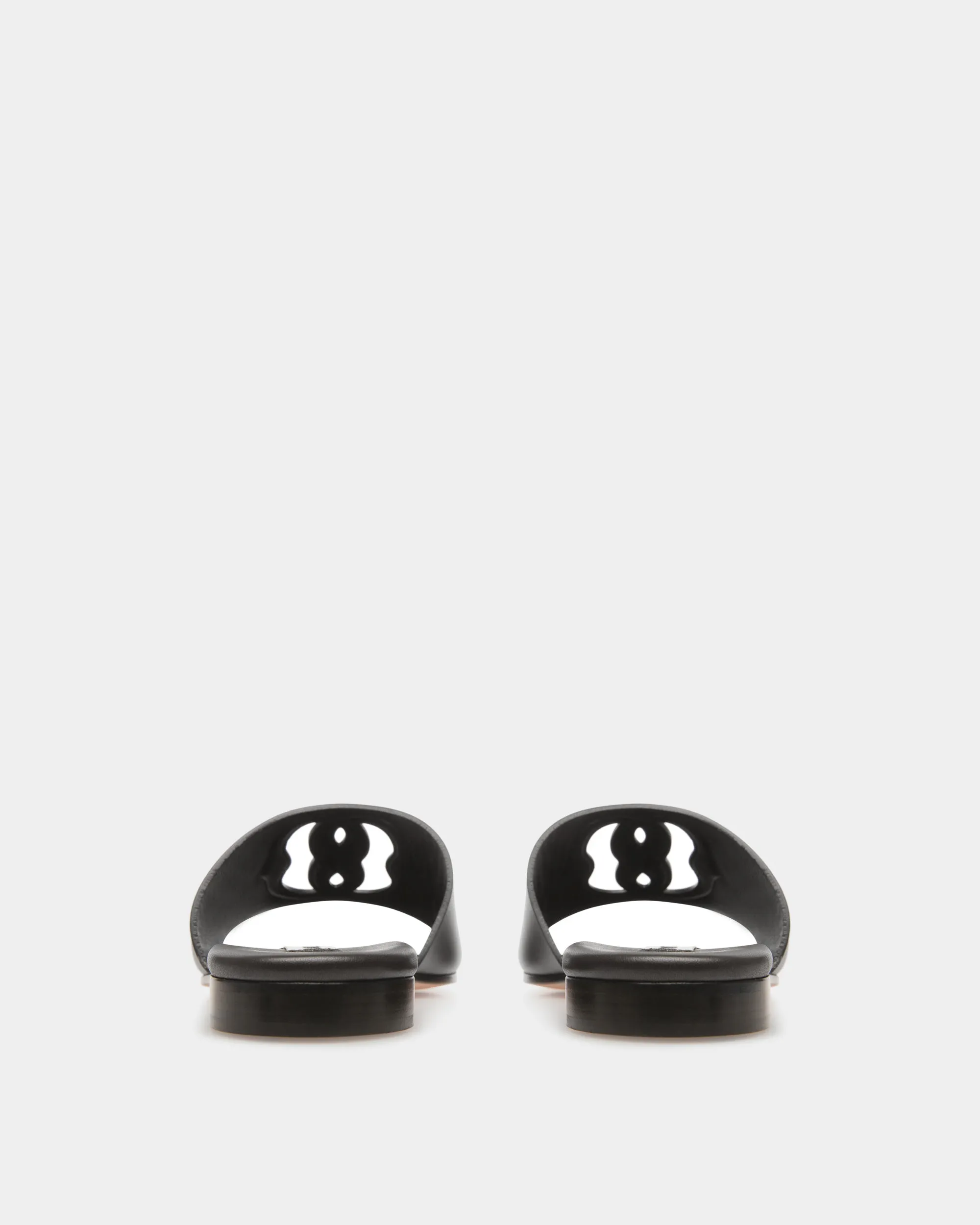 Goldie-W - Slides