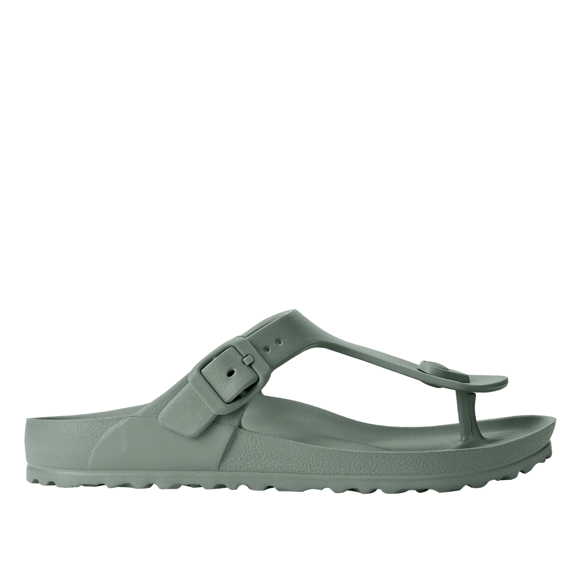 Holster Coastal