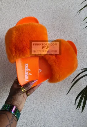 Orange Catwalk