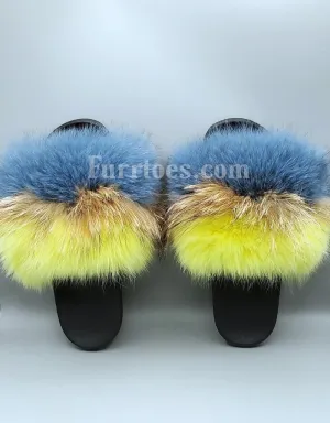 YELLOW & BLUE FOXY