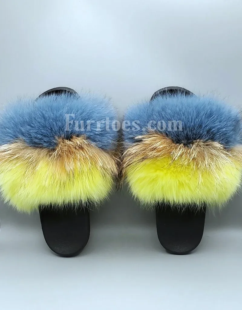 YELLOW & BLUE FOXY
